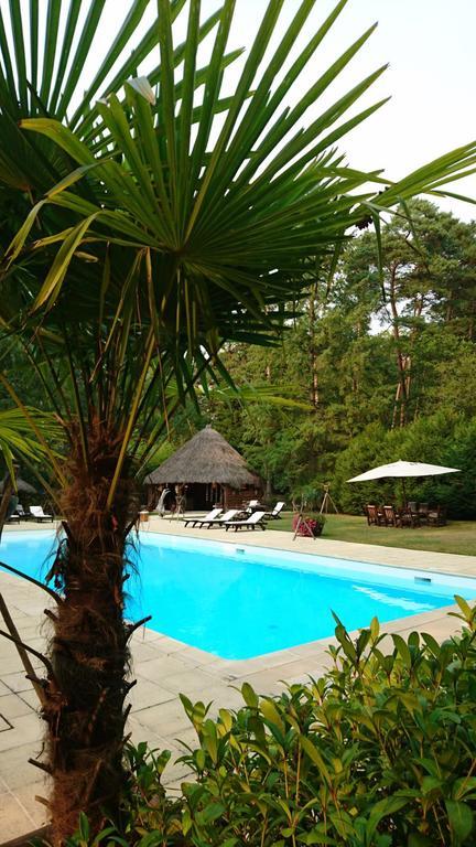 Chambres D'Hotes Le Mousseau Chaumont (Haute-Marne) Exterior foto